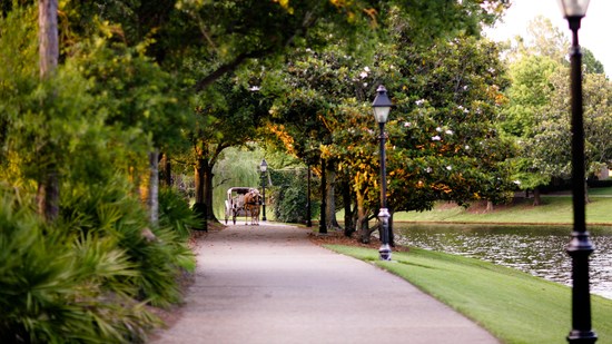 Passeios de carruagem 